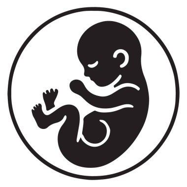 Bebek Geliştirme Sürecini Gösteren İnsan Fetüsü İllüstrasyon Tıbbi Diyagramı