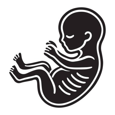 Utero Grafiksel Temsilinde İnsan Fetüsü Resimlerinin Gelişimini Gösterme