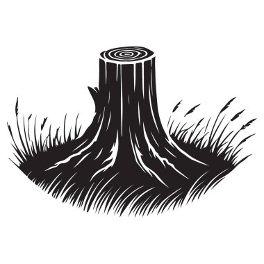 Grassy Surround 'daki Ağaç Kökünün Detaylı Silüeti