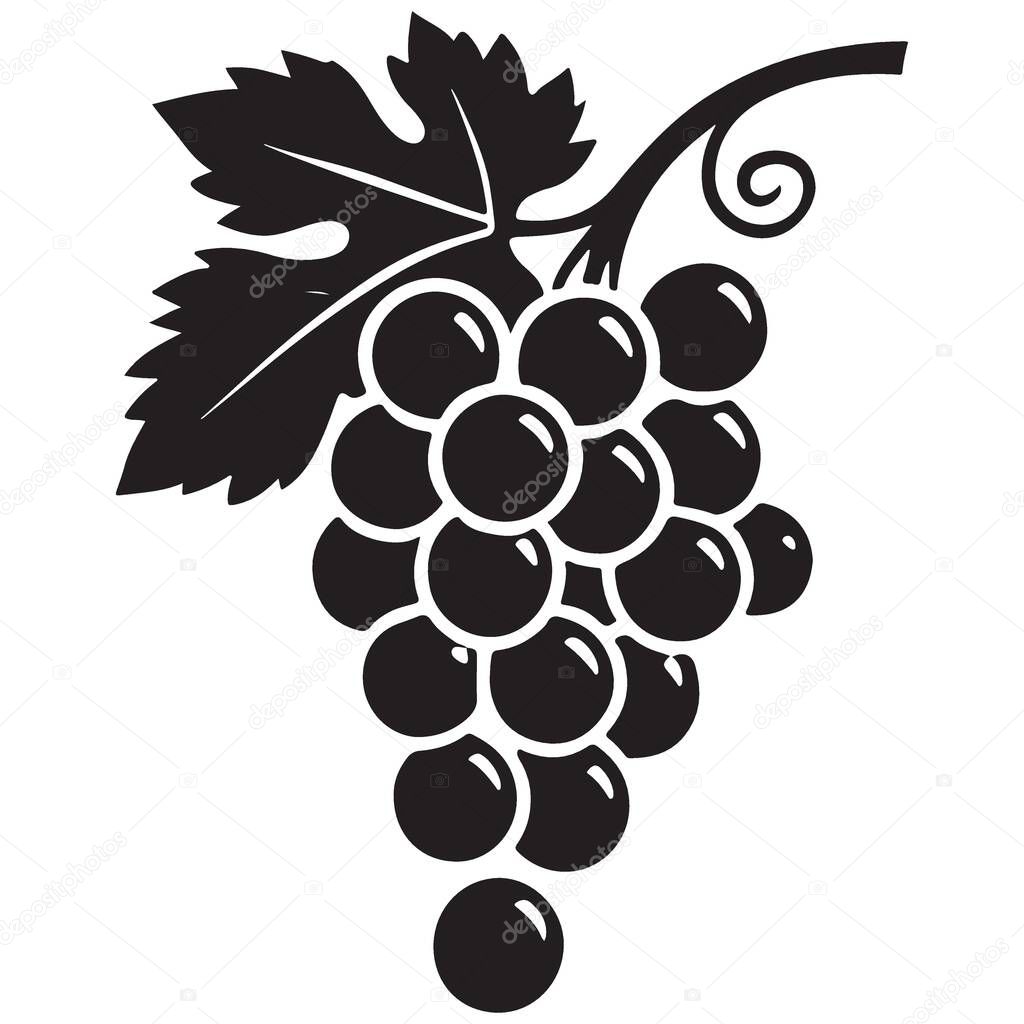 Illustration of a Bunch of Grapes Vector for Winery Logo