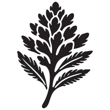 Ayrıntılı Yaprak Kök Vektör İllüstrasyon Süsleme Element Tasarımı