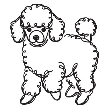 Karikatür Kaniş Çizimi Şirin Köpek Üretimi Çizim Tasarımı