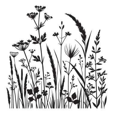 Vahşi Çimenler ve Çiçekler Siluet Vektör Çizim Tasarımı