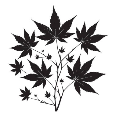 Japon akçaağaç yaprağı vektör sanat çizimi doğal siluet