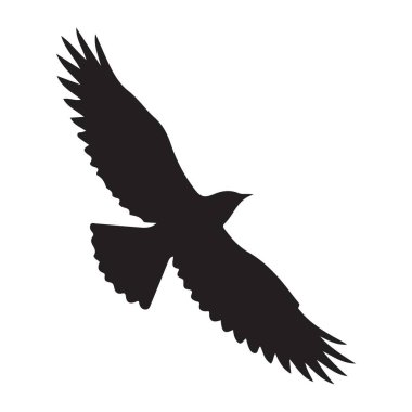 Görkemli kartal silüeti özgürlük konsepti için yüksekten uçuyor.