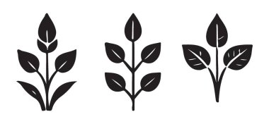 Yapraklı Bitki Filizleri Bahçecilik Projesi için Siluet Vektör Sanatı