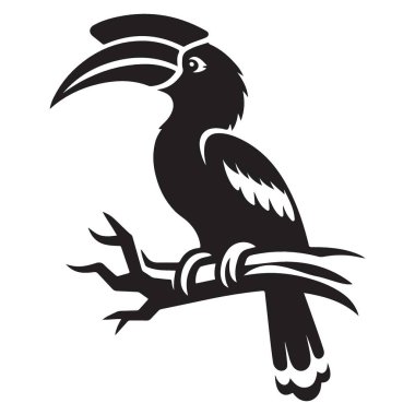 Avian Temaları için Grevci Hornbill Kuş Resimleri Vektör Grafiği