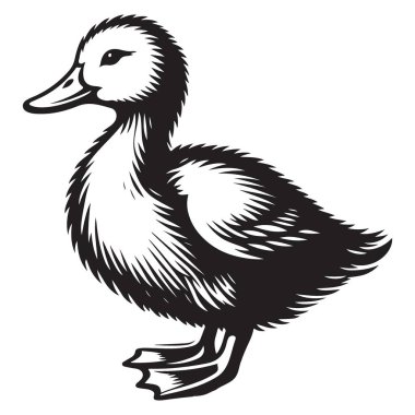 Çekici Ördek Çizimi Su Kuşu Tasarım Vektörü Tapılası Sanat Eserleri