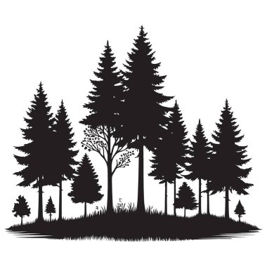 Çam Ağaçları Ormanı Ekoloji Koruması için Görüntü