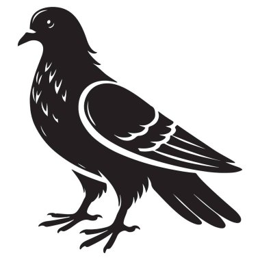 Ayakta Duran Güvercin Silüeti Vektör Çizimi Kara Kuş Grafik Tasarımı