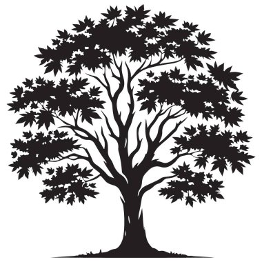 Maple Leaf Tree Siluet Vektör Resimleri Siyah Gölgede