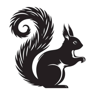 Tüylü Kuyruk Kemirgen Çizimi Tasarımı ile Ayrıntılı Sincap Silueti