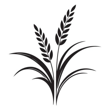 Buğday Sapı Element Vektörünün Silueti Grafik ResmiComment