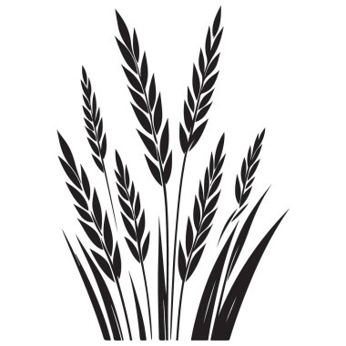 Siyah ve Beyaz Buğday Sapı Vektörünün Görünümü
