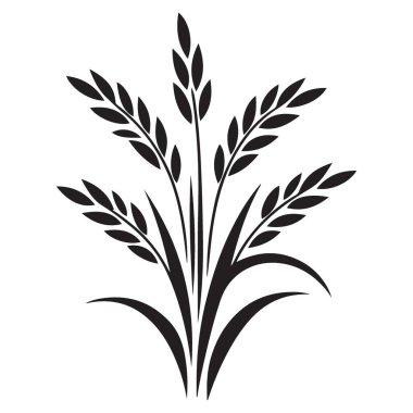 Buğday Sapı Vektör Resimleri Hasat ve Bolluk Dekorasyonunu Sembolize Ediyor