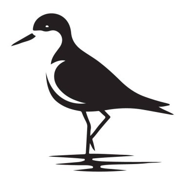 Doğa ve Kıyı Tasarımları için Shorebird 'ün Silueti