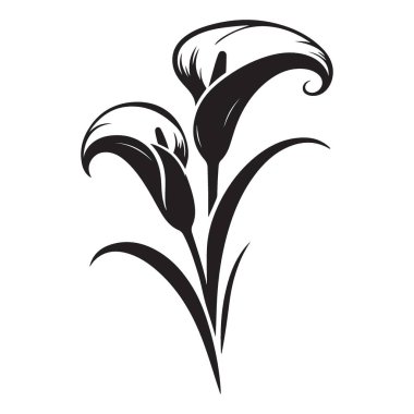 Zarif Calla Lily Çiçekleri Vektör Siluet Çizim Sanat Tasarımı