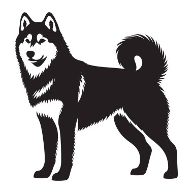 Majestic Alaska Malamute Köpek Vektörü İllüzyonu Bilgi ve Bakım Üretimi