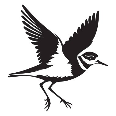 Uçan sahil yaban hayatı sanatında Sandpiper silueti vektör çizim kuşu