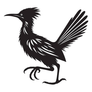 Grafik Tasarım Projeleri için Roadrunner Resimlerinin Detaylı Vektör Silueti