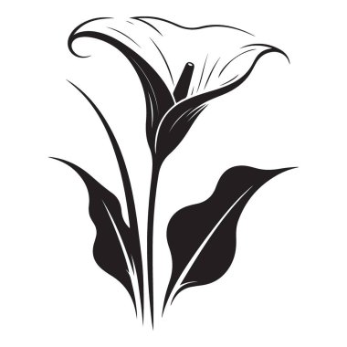 Yaratıcı Projeler için Zarif Calla Lily Çiçeği İllüstrasyon Grafiği