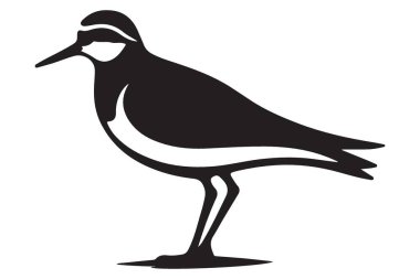 Shorebird siluet vektör illüstrasyon kuş gözlemcisi tasarım konsepti