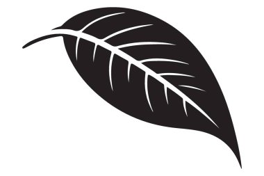 Basit yaprak silueti vektör illüstrasyon doğa tema tasarım kaynakları