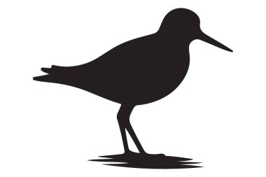 Shorebird Vektör Silueti Projeler için Kıyı Kuşu Tasarımı