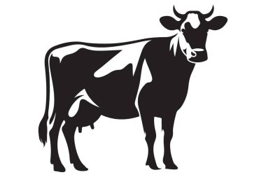 Holstein Cow Vektör Resimleri Siyah ve Beyaz Çiftlik Hayvanları Grafikleri