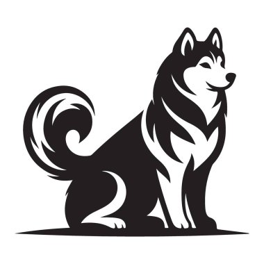 Sibirya Husky Vektör İllüstrasyonu Siyah ve Beyaz Köpek Yetiştirme Grafikleri