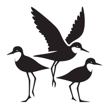 Shorebirds Silhouette Illustration Birdwatch ve Vahşi Yaşam Tasarım Elementleri