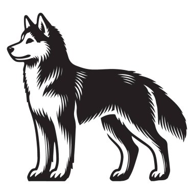 Görkemli Husky Hayvanlar İçin Gururlu Görüntü
