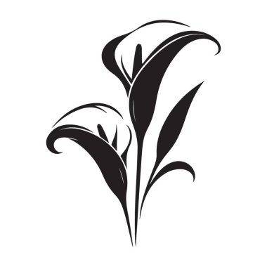 Büyüleyici Calla Lily Çiçeği Siluet Vektörü Zarif Botanik Sanatı