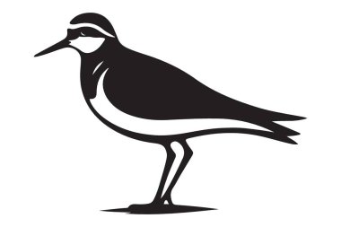 Seçkin Killdeer Kuş Vektörü Sanat İllüstrasyonu Doğa Grafikleri