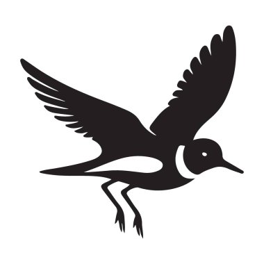 Uçan Plover Vektör İllüstrasyonu Vahşi Yaşam Doğa ve Grafik Sanatları