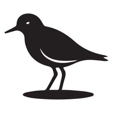 Zarif Shorebird Illustration A Vector Design with Clean Silhouette