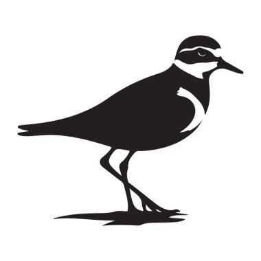 Şık Plover Kuş Silueti Vektör Resimlendirme Yaban Hayatı Grafik Tasarımı