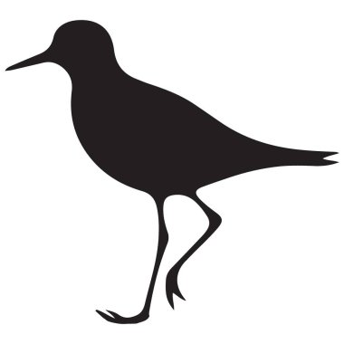 Çulluk kuşu silueti Doğa Aşıkları için Vektör İllüstrasyonu
