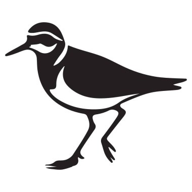 Killdeer Bird Siluet Vektörü Grafik Vahşi Yaşam Çizim Şablonu