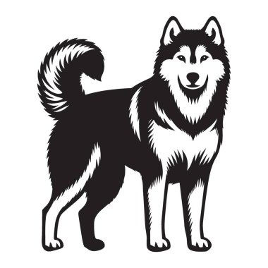 Görkemli Husky Silueti Bir Köpeğin Görüntü Yönlendiricisi