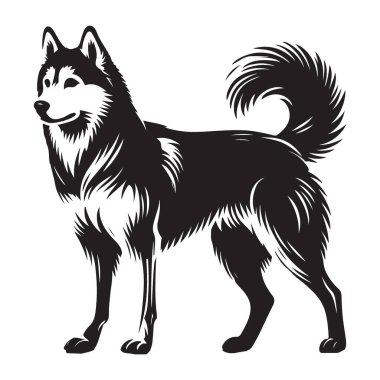 Ayakta duran Husky Siluet Vektör İllüzyonu Sadık Arkadaş Hayvan Tasarımı