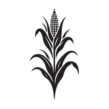 Mısır Sapığı İllüstrasyon Tarım Tarlası Tarla Tarlası Tarlası Vektör Tasarımı