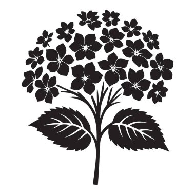 Grafik ve Dekoratif Kullanımlar için Zarif Ortanca Çiçeği İllüstrasyon Tasarımı