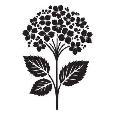 Yazdırma ve Dijital Kullanım için Süslü Ortanca Çiçeği Silüet Tasarımı