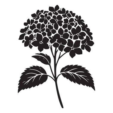 Yaratıcı ve Dekoratif Projeler için Ortanca Çiçeği Baş Siluet Vektörü
