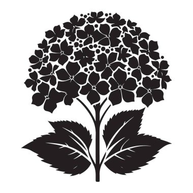Güzel Hydrangea Bloom Siluet Vektör Çiçek Çizim Sanatı