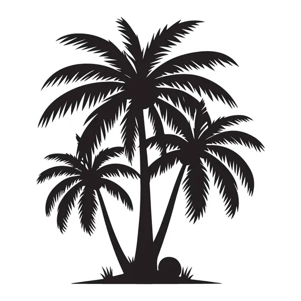 Hindistancevizli Üç Palmiye Ağaçları Tropik Ada Cenneti