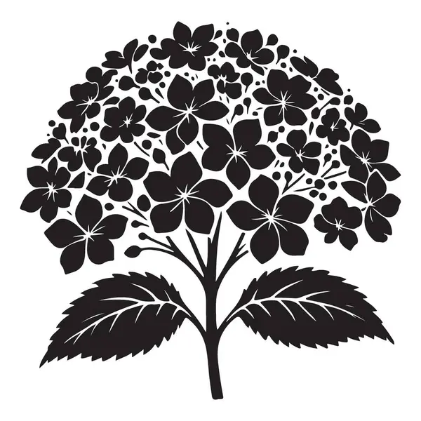 Çiçek Tasarımları için Ortanca Çiçeği Siluet Vektör Grafiği