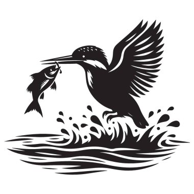 Siluet Kingfisher Balığı Yakalıyor Siyah ve Beyaz Görüntü