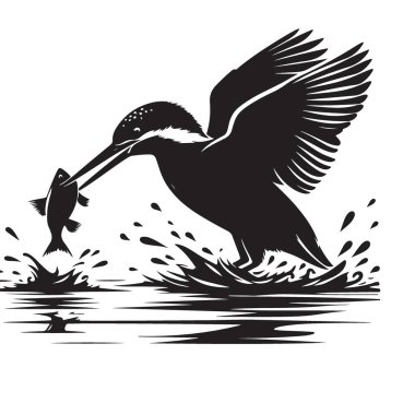 Kingfisher Kuş Silueti Su Sıçratan Balık Yakalıyor